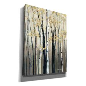 'Golden Birch I' by Marilyn Hageman, Canvas Wall Art