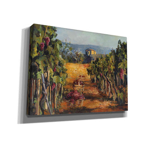 'Rhone Valley Vineyard' by Marilyn Hageman, Canvas Wall Art
