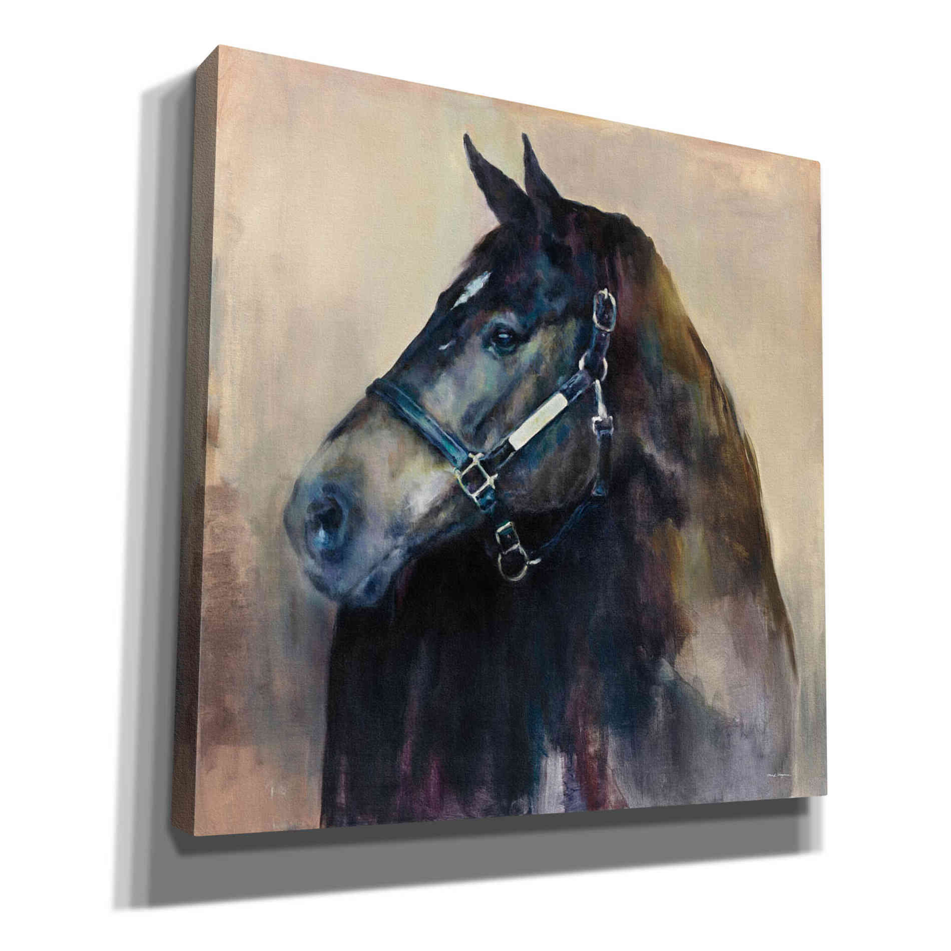 'Ritzy Light' by Marilyn Hageman, Canvas Wall Art