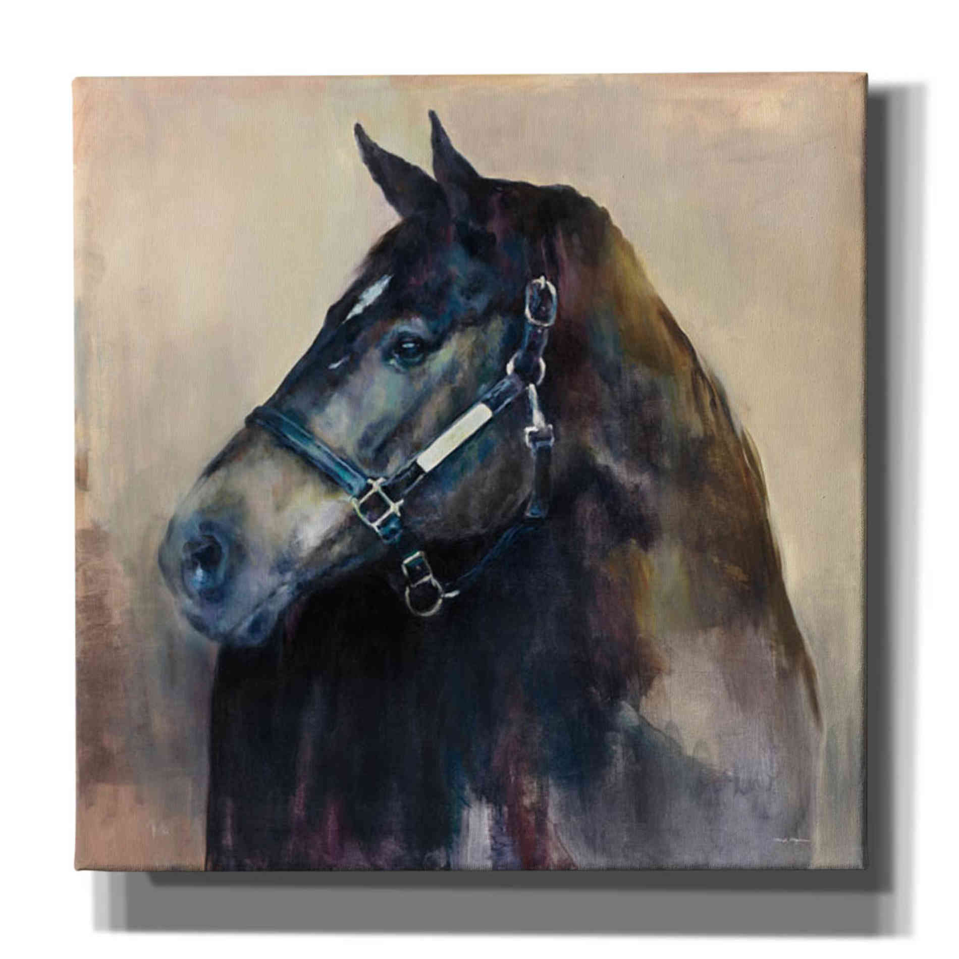 'Ritzy Light' by Marilyn Hageman, Canvas Wall Art