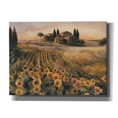 Image of 'Sunflowers in Italy' by Marilyn Hageman, Canvas Wall Art