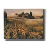 'Sunflowers in Italy' by Marilyn Hageman, Canvas Wall Art