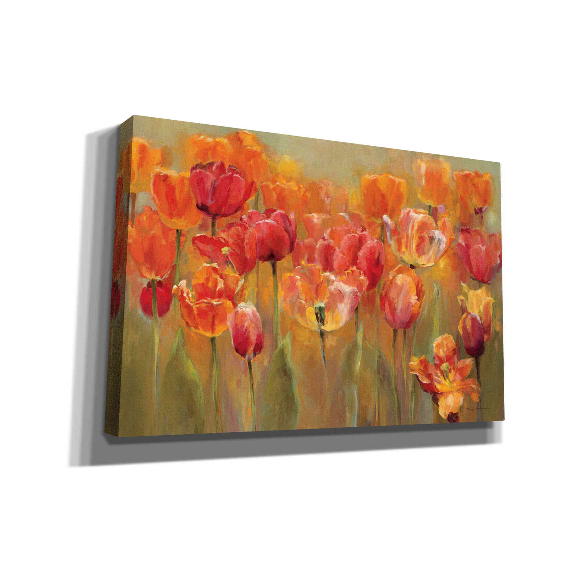 'Tulips in the Midst III' by Marilyn Hageman, Canvas Wall Art