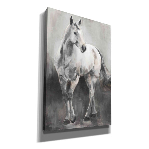 Image of 'Copper And Nickel White Grey' by Marilyn Hageman, Canvas Wall Art