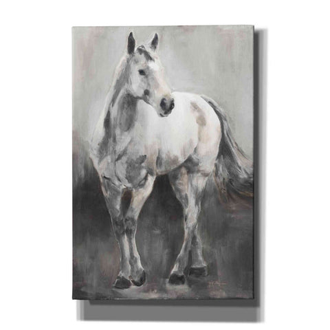 Image of 'Copper And Nickel White Grey' by Marilyn Hageman, Canvas Wall Art