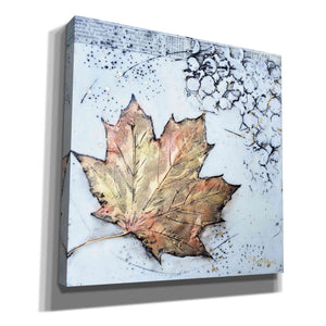 'Channeling Fall 1' by Britt Hallowell, Canvas Wall Art,Size 1 Square