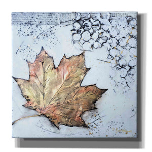 'Channeling Fall 1' by Britt Hallowell, Canvas Wall Art,Size 1 Square