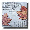 'Channeling Fall 3' by Britt Hallowell, Canvas Wall Art,Size 1 Square