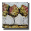 'A Fall Stroll' by Britt Hallowell, Canvas Wall Art,Size 1 Square