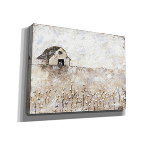 'Cotton Farms' by Britt Hallowell, Canvas Wall Art,Size B Landscape