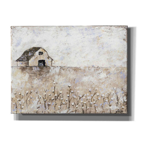 Image of 'Cotton Farms' by Britt Hallowell, Canvas Wall Art,Size B Landscape