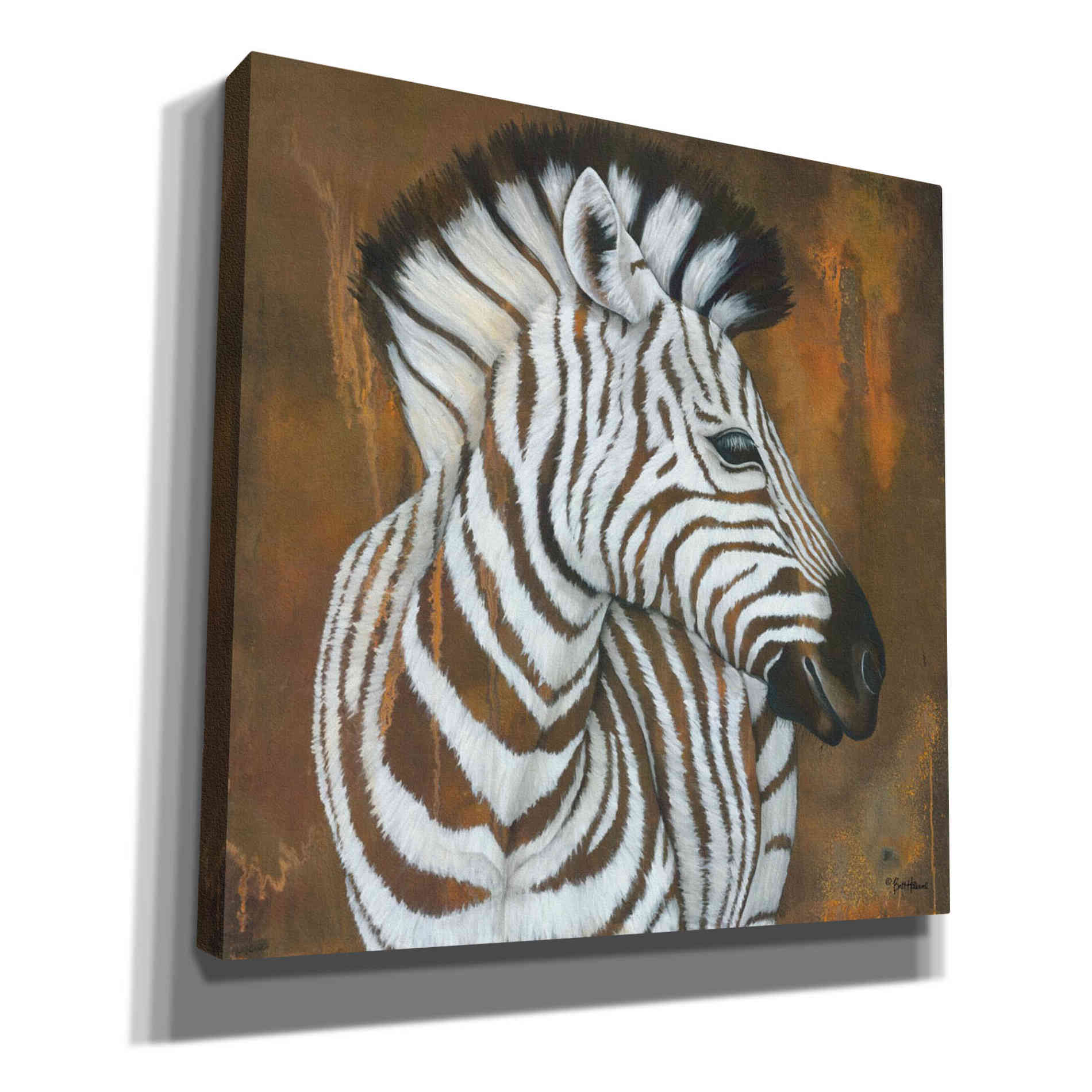 'Serengeti Rock Star' by Britt Hallowell, Canvas Wall Art,Size 1 Square