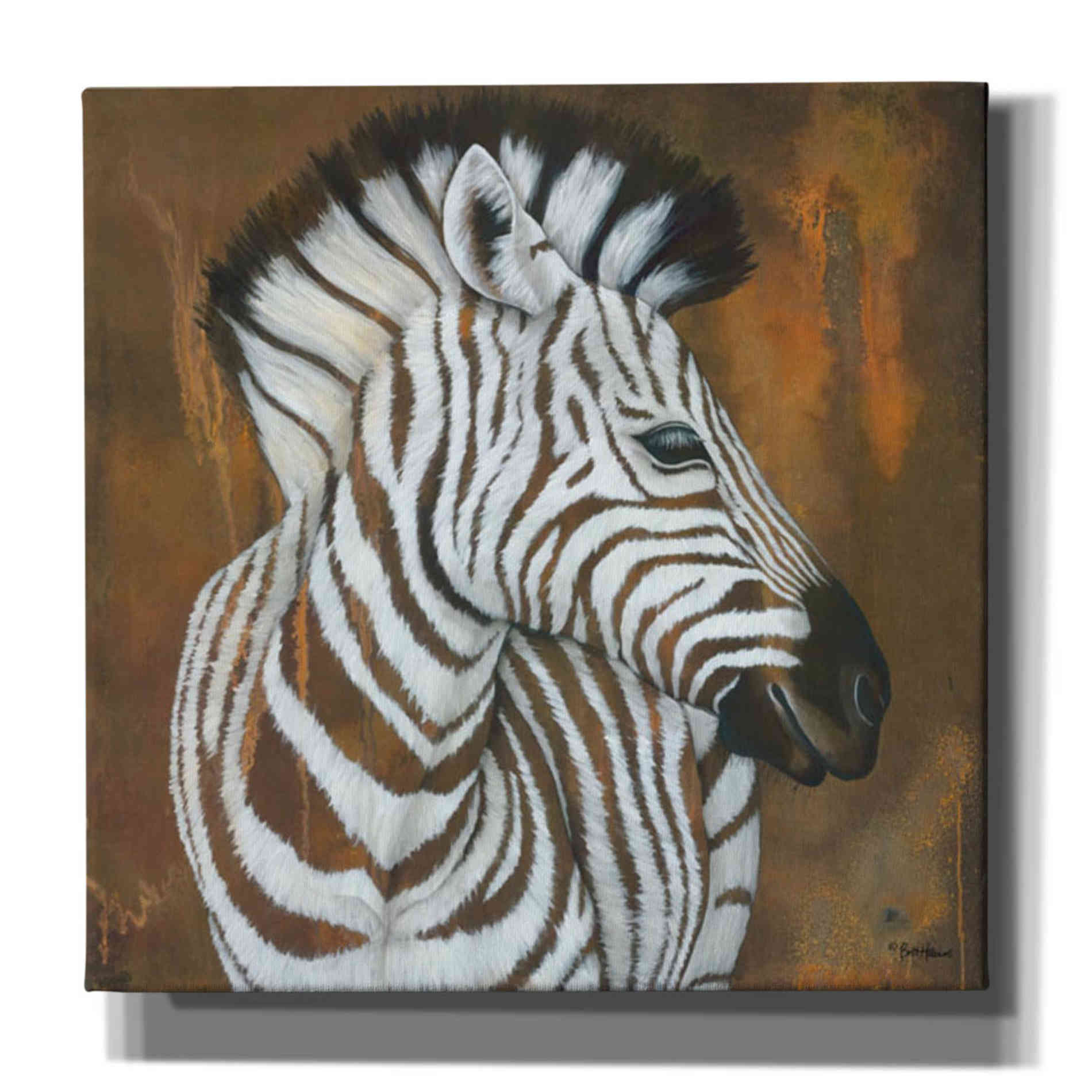 'Serengeti Rock Star' by Britt Hallowell, Canvas Wall Art,Size 1 Square