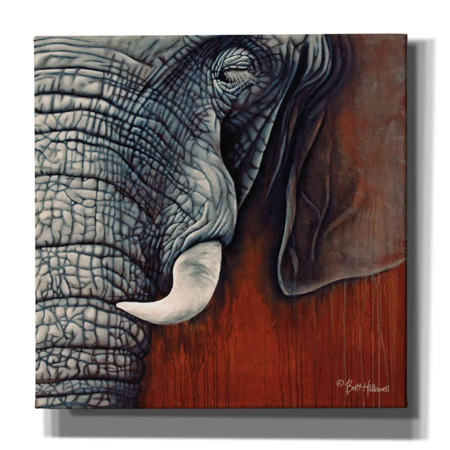 'Revering Tembo' by Britt Hallowell, Canvas Wall Art,Size 1 Square