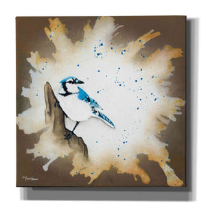 'Weathered Friends - Blue Jay' by Britt Hallowell, Canvas Wall Art,Size 1 Square