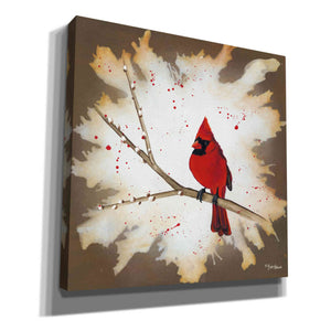 'Weathered Friends - Cardinal' by Britt Hallowell, Canvas Wall Art,Size 1 Square