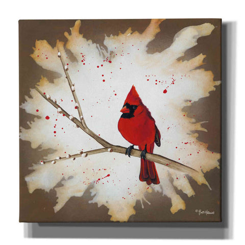 Image of 'Weathered Friends - Cardinal' by Britt Hallowell, Canvas Wall Art,Size 1 Square
