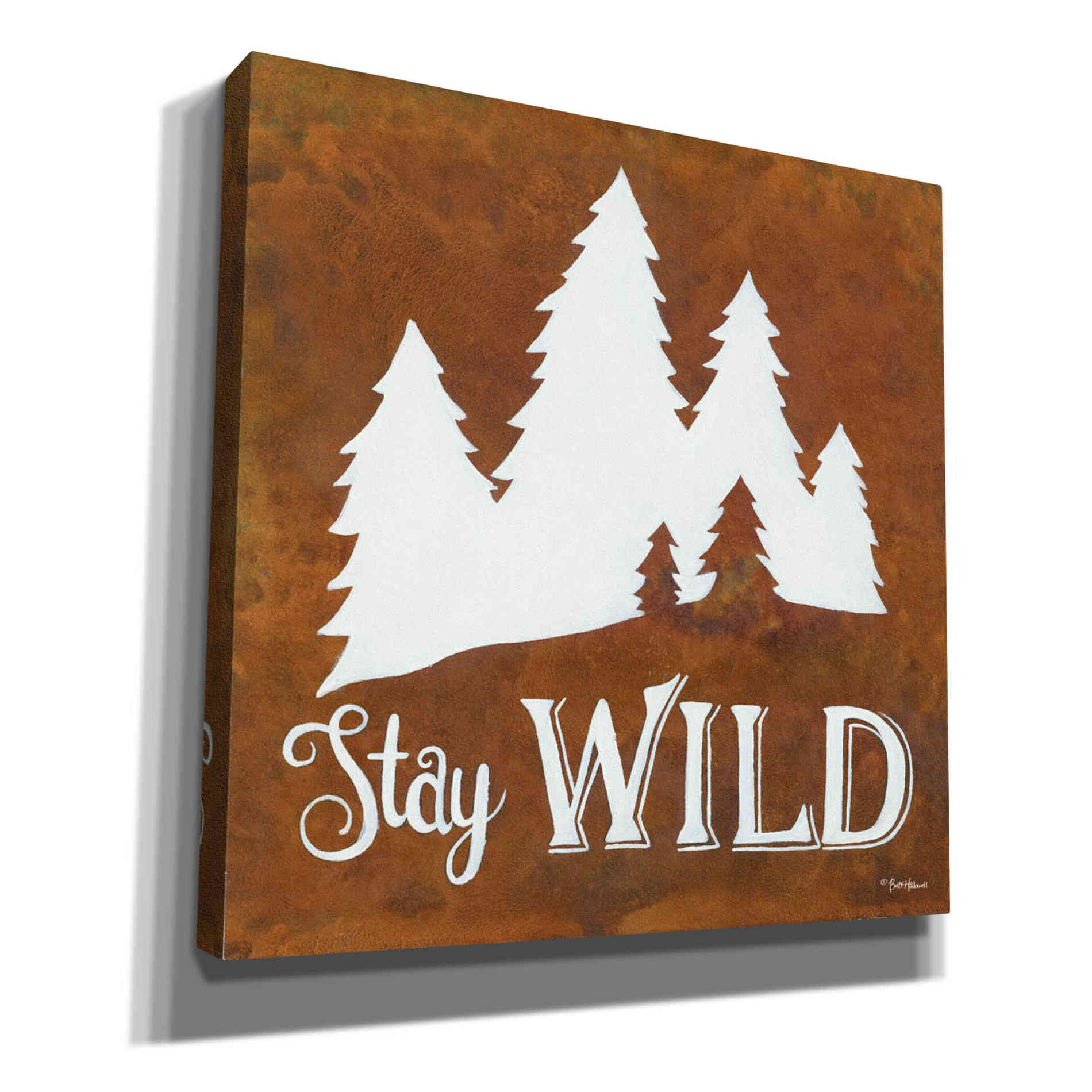 'Stay Wild' by Britt Hallowell, Canvas Wall Art,Size 1 Square