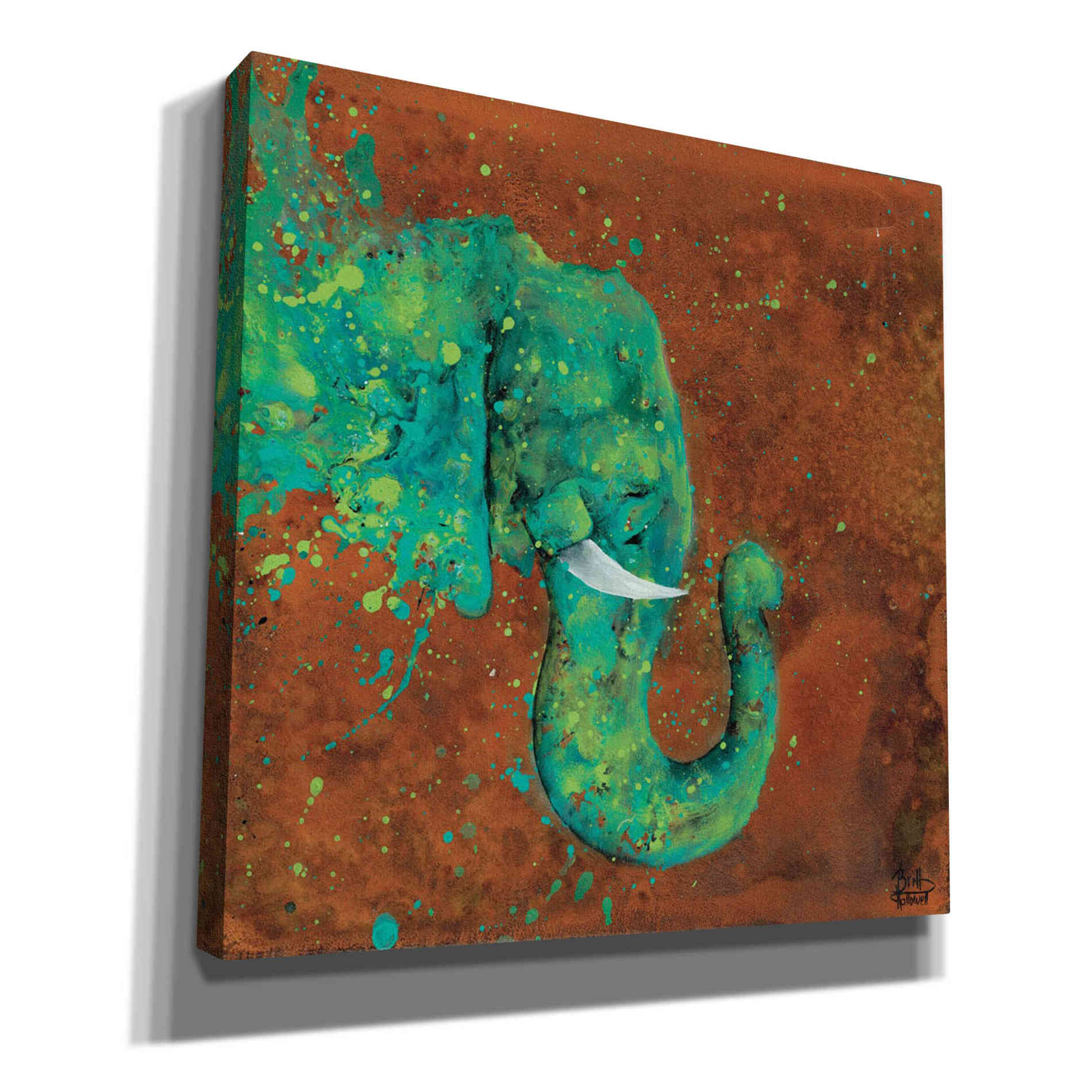 'Splashing Forth' by Britt Hallowell, Canvas Wall Art,Size 1 Square
