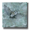 'Simplicity Owl' by Britt Hallowell, Canvas Wall Art,Size 1 Square