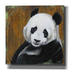 'Panda Smile' by Britt Hallowell, Canvas Wall Art,Size 1 Square