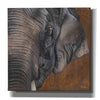 'The Gentlest Giant' by Britt Hallowell, Canvas Wall Art,Size 1 Square