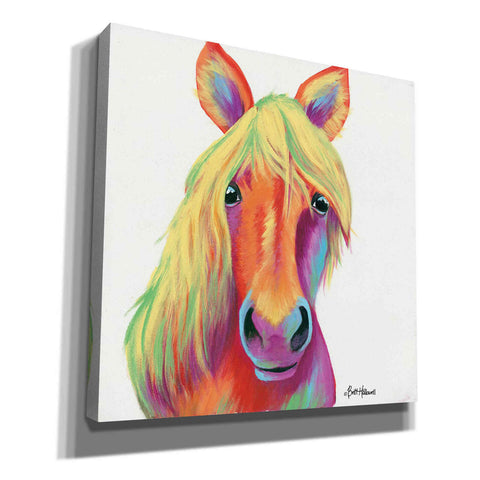 Image of 'Cheery Horse' by Britt Hallowell, Canvas Wall Art,Size 1 Square