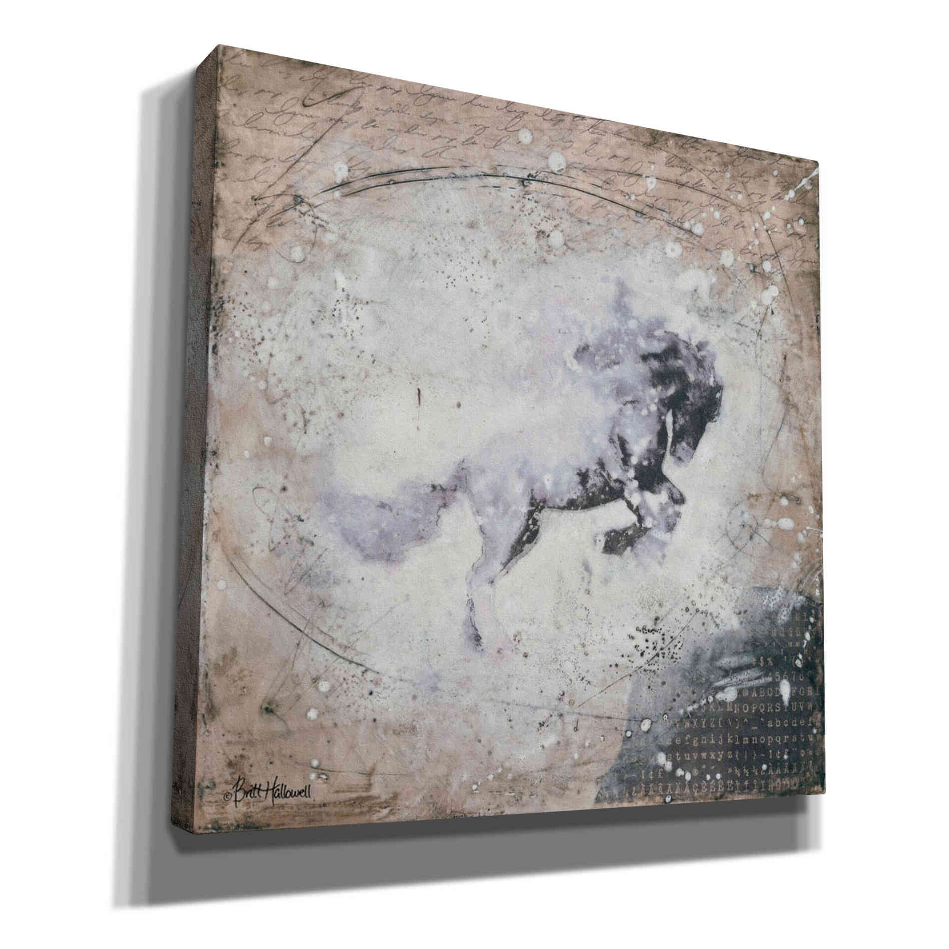 'Wild Spirit' by Britt Hallowell, Canvas Wall Art,Size 1 Square