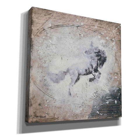 Image of 'Wild Spirit' by Britt Hallowell, Canvas Wall Art,Size 1 Square