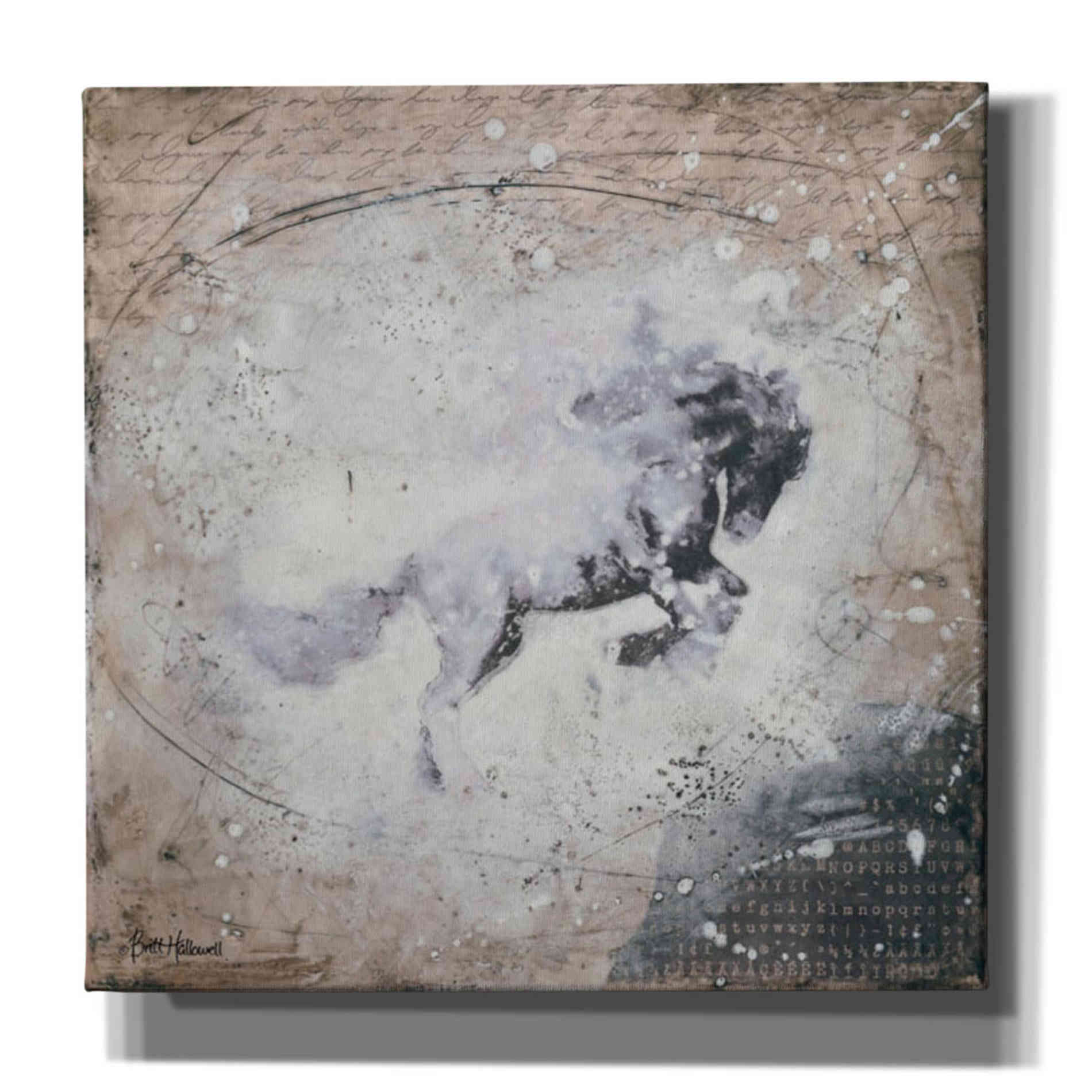 'Wild Spirit' by Britt Hallowell, Canvas Wall Art,Size 1 Square