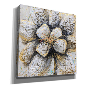 'Explosion of Petals' by Britt Hallowell, Canvas Wall Art,Size 1 Square