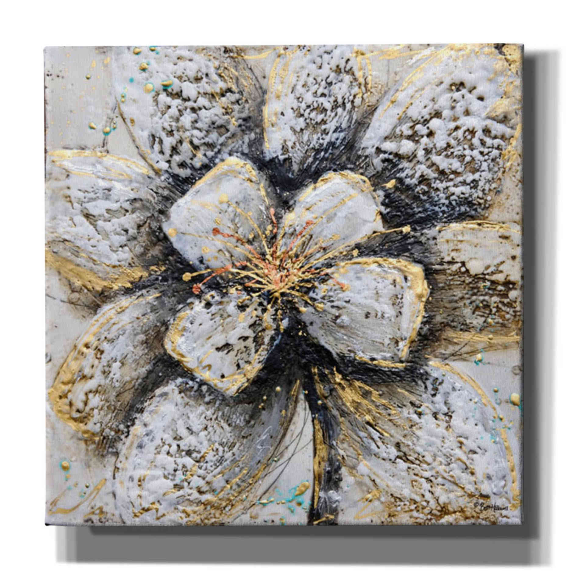 'Explosion of Petals' by Britt Hallowell, Canvas Wall Art,Size 1 Square