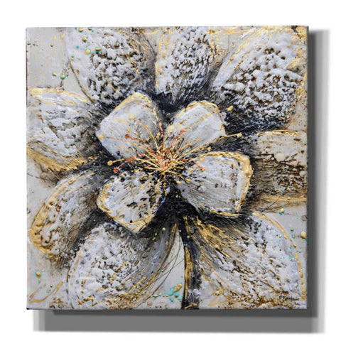Image of 'Explosion of Petals' by Britt Hallowell, Canvas Wall Art,Size 1 Square