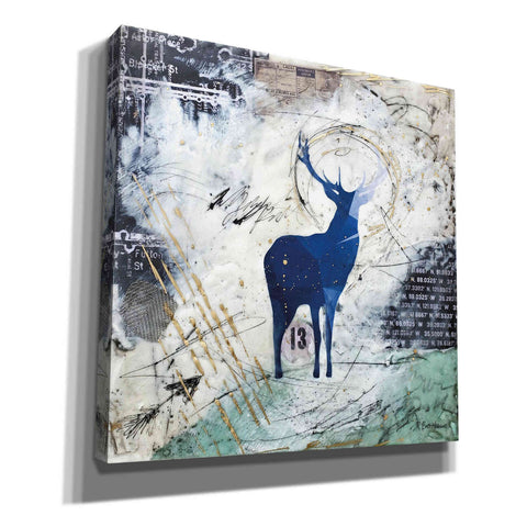 Image of 'Wanderer's Spirit' by Britt Hallowell, Canvas Wall Art,Size 1 Square