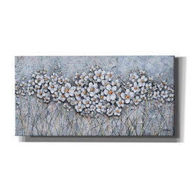 'Fields of Pearls' by Britt Hallowell, Canvas Wall Art,Size 2 Landscape