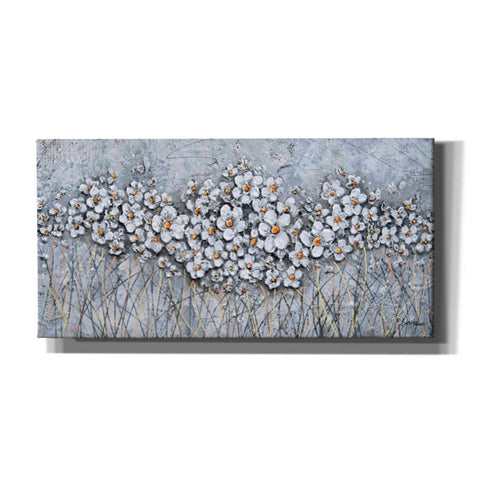 Image of 'Fields of Pearls' by Britt Hallowell, Canvas Wall Art,Size 2 Landscape
