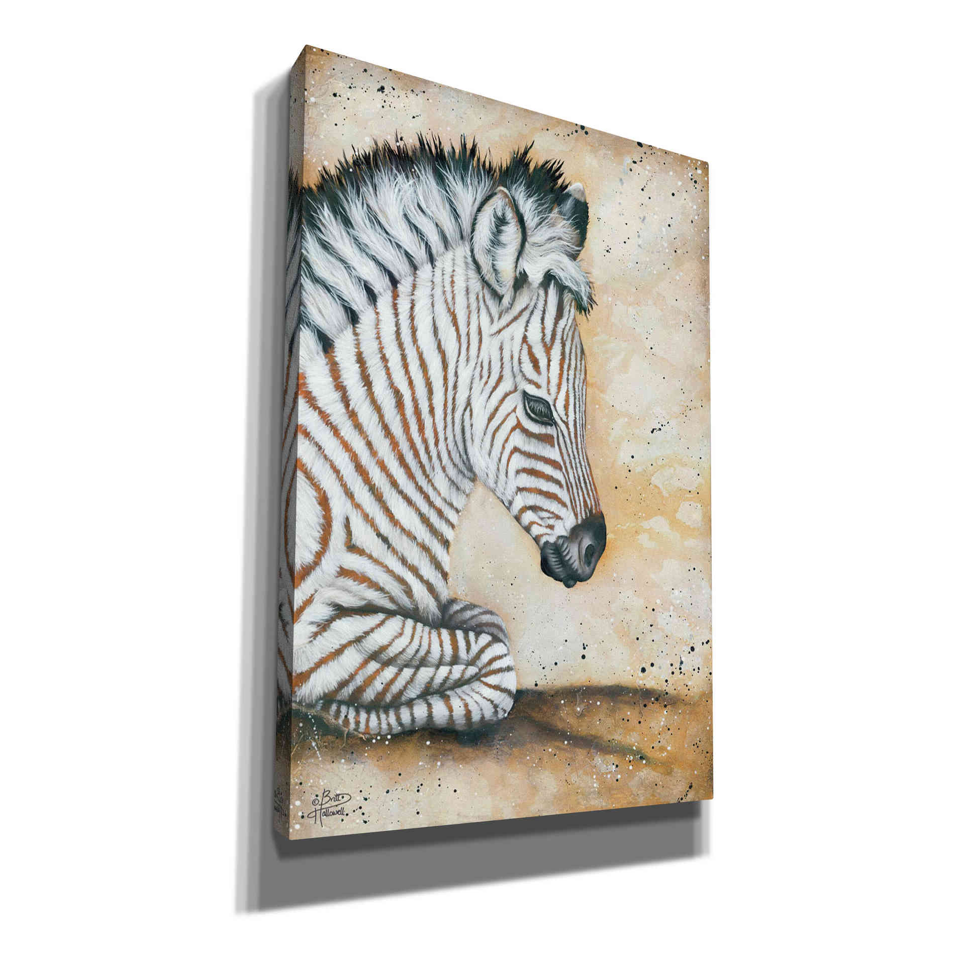 'Savannah Baby' by Britt Hallowell, Canvas Wall Art,Size A Portrait