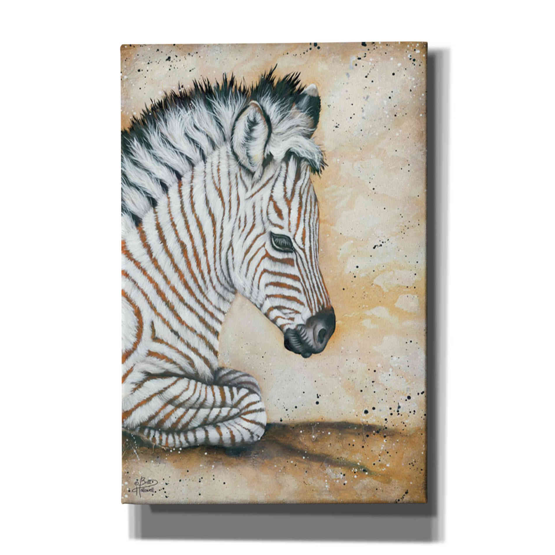 'Savannah Baby' by Britt Hallowell, Canvas Wall Art,Size A Portrait