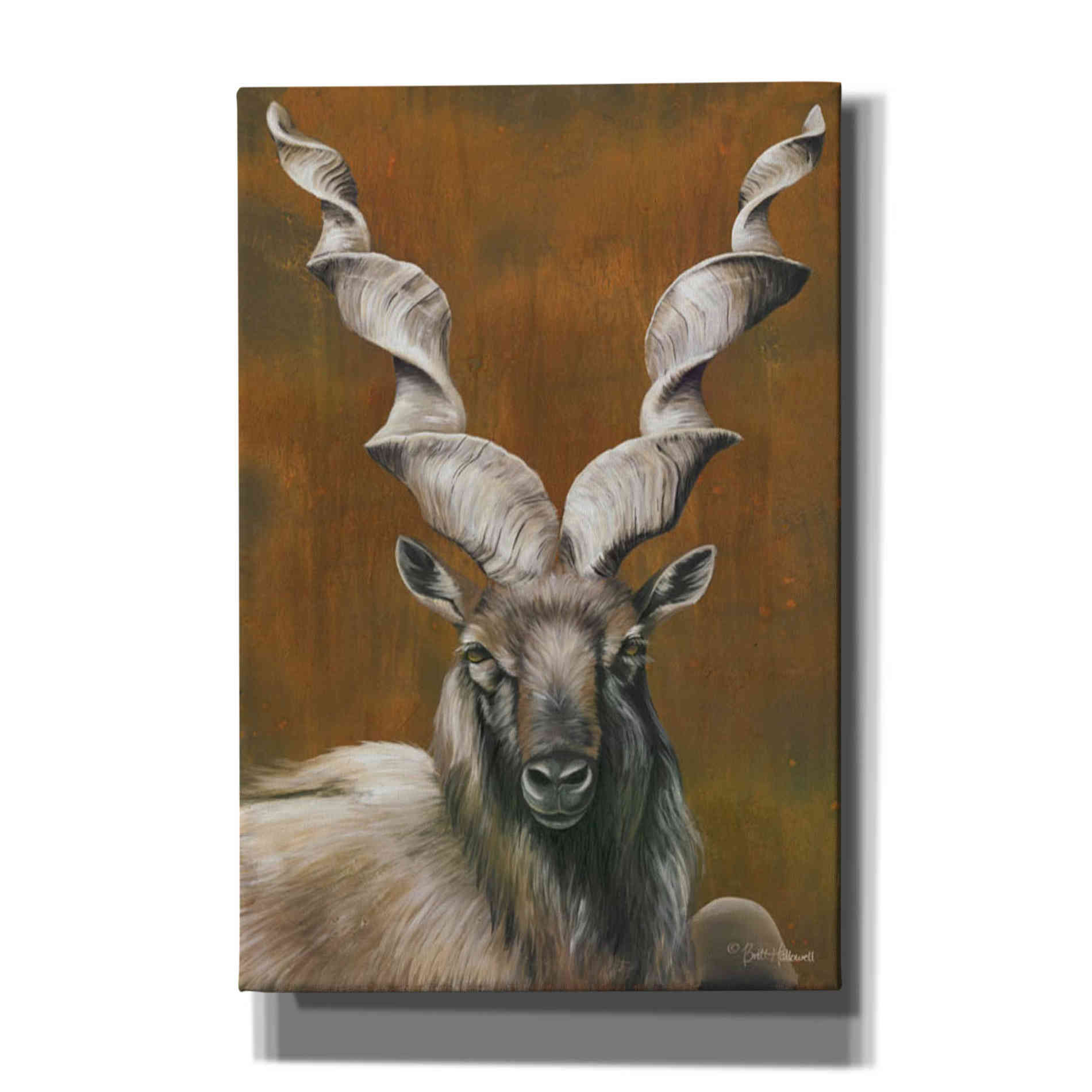 'Mighty Markhor' by Britt Hallowell, Canvas Wall Art,Size A Portrait