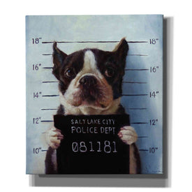 'Mug Shot' by Lucia Heffernan, Canvas Wall Art,Size C Portrait