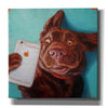 'Dog Selfie' by Lucia Heffernan, Canvas Wall Art,Size 1 Square