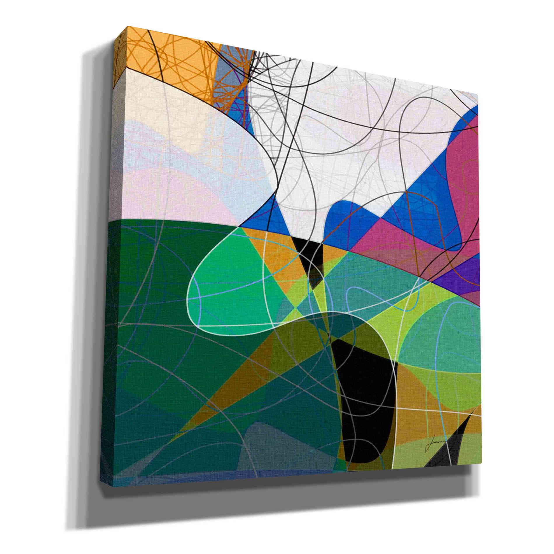 'Entangled I' by James Burghardt Giclee Canvas Wall Art
