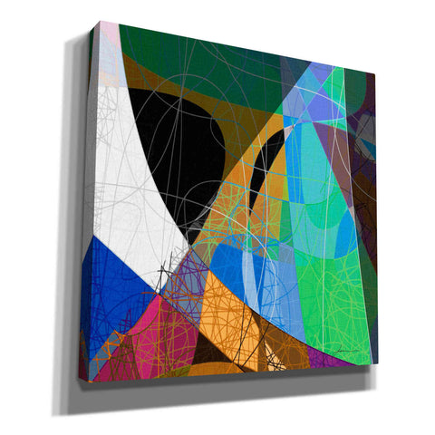 Image of 'Entangled II' by James Burghardt Giclee Canvas Wall Art