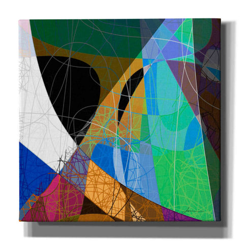 Image of 'Entangled II' by James Burghardt Giclee Canvas Wall Art