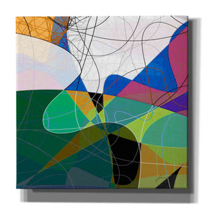 'Entangled I' by James Burghardt Giclee Canvas Wall Art