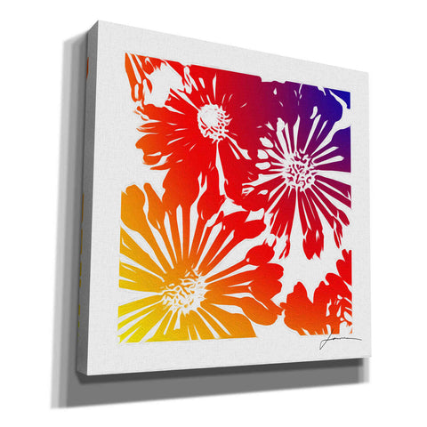 Image of 'Floral Brights II' by James Burghardt Giclee Canvas Wall Art