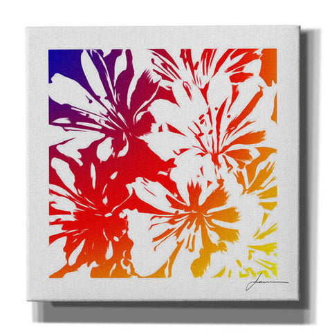 Image of 'Floral Brights I' by James Burghardt Giclee Canvas Wall Art