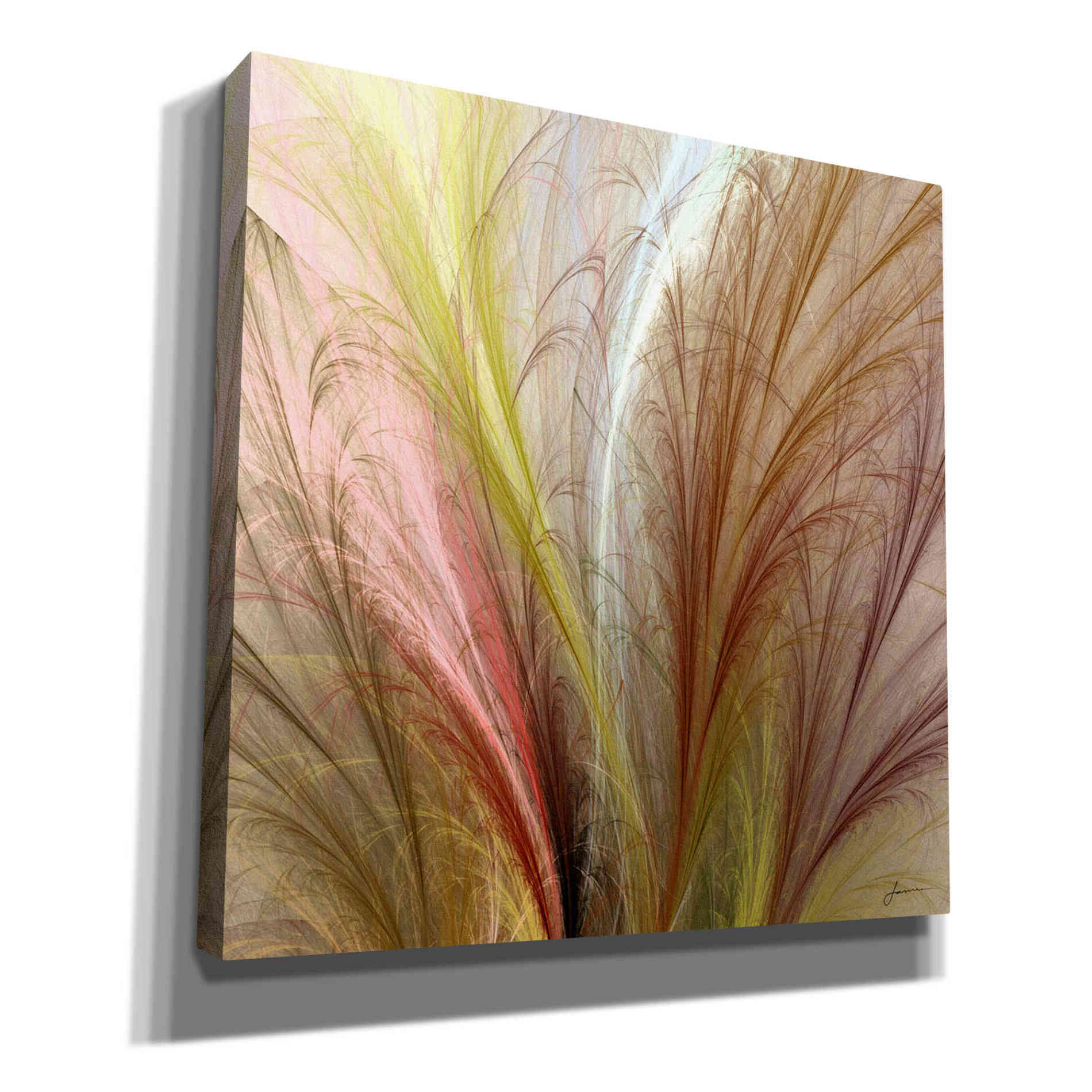 'Fountain Grass II' by James Burghardt Giclee Canvas Wall Art