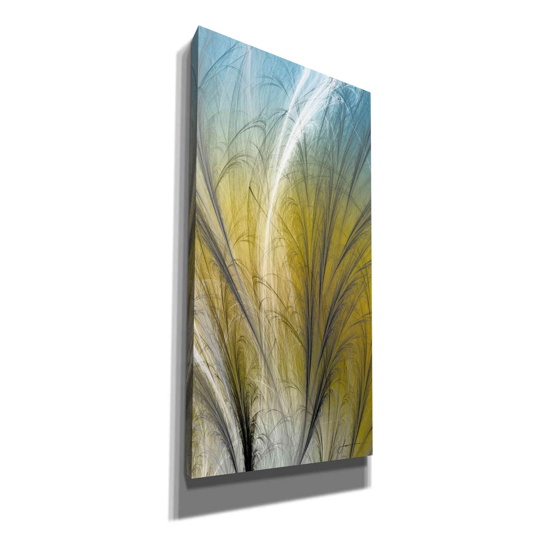 'Fountain Grass III' by James Burghardt Giclee Canvas Wall Art