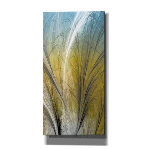 Image of 'Fountain Grass III' by James Burghardt Giclee Canvas Wall Art